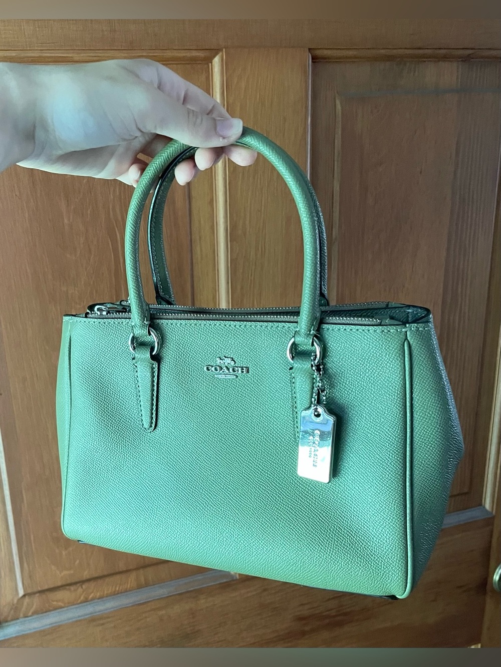 🍵sage green mini Coach Surrey Carryall light clover🍵